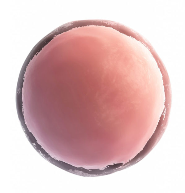 Préservation de la fertilité Congélation des ovocytes Social eggs freezing
