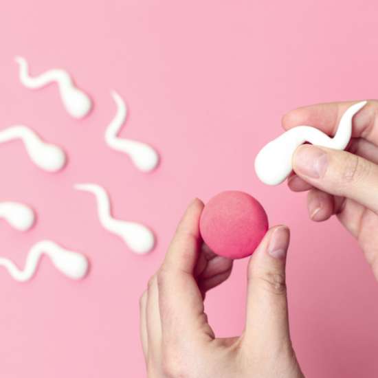Spermatozoide fécondant un ovule