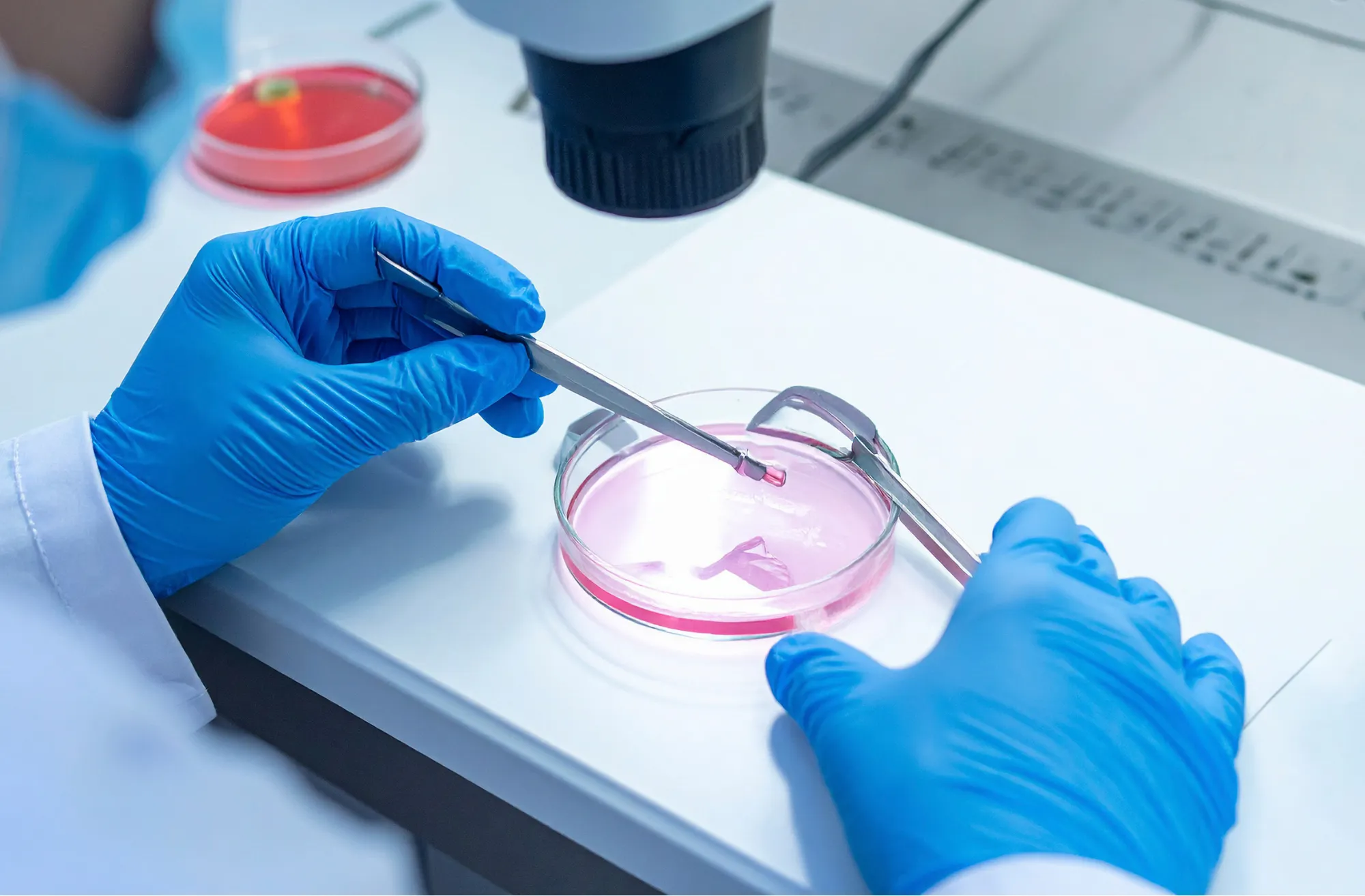 Pourquoi congeler ses ovocytes à l'étranger